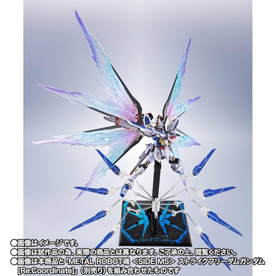 Amazon | METAL ROBOT魂 ＜SIDE MS＞ ストライクフリーダム ガ